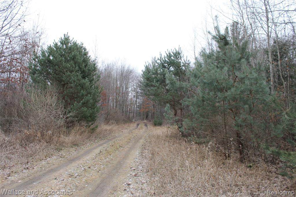 V/L Emerson Rd - Photo 1