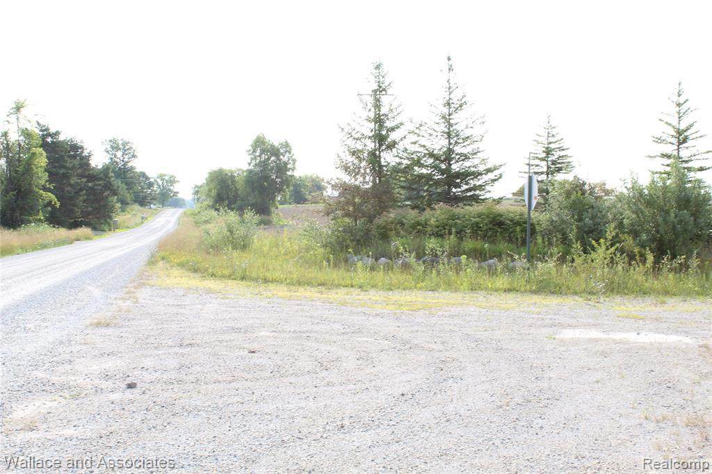 V/L Mcintyre Rd - Photo 1