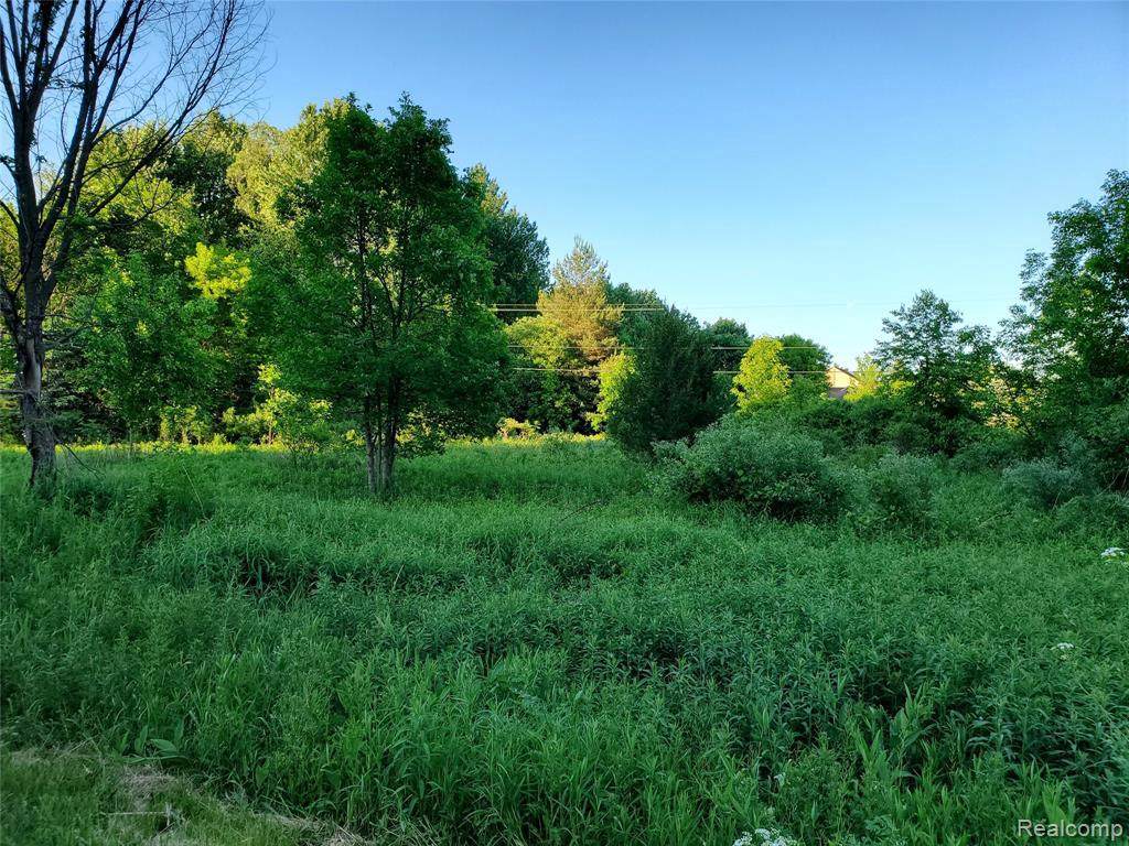 00 Rochester Rd - Photo 1