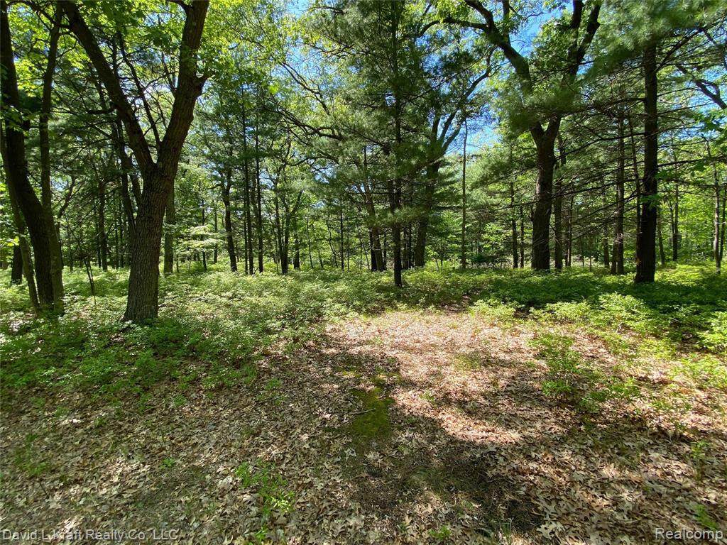 Lot 3 Donny Brook Dr - Photo 1