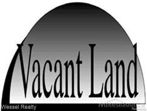 0 Van Dyke Rd - Photo 1