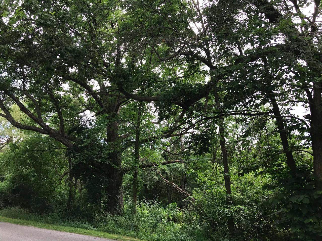 6085 Webster Church Rd - Photo 1