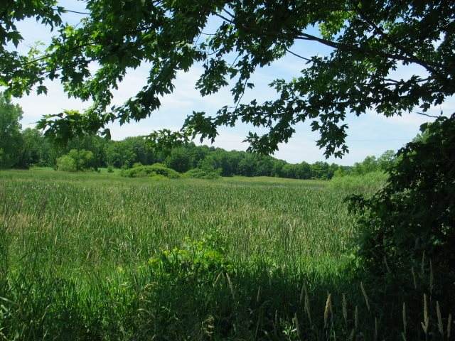 6650 Jerome Rd - Photo 1