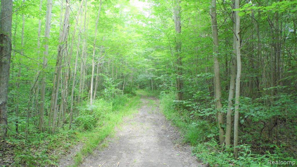0000 Murray Rd - Photo 1