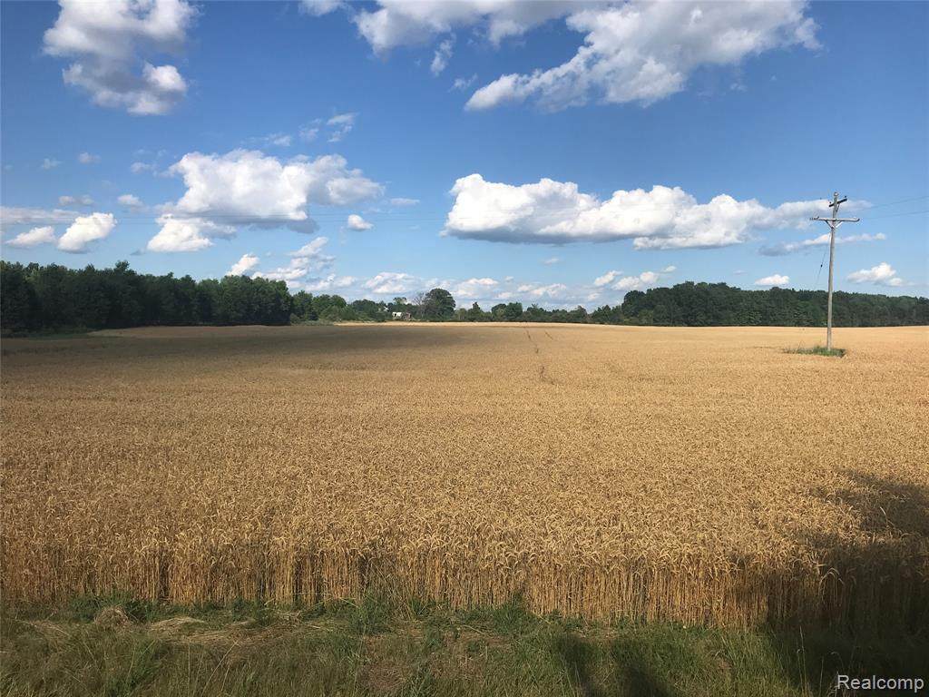 0000 Forest Hill Rd - Photo 1