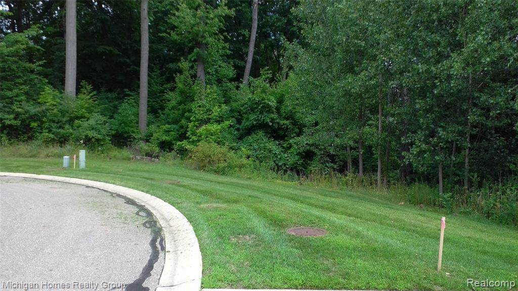 37206 Timberview Ln - Photo 1
