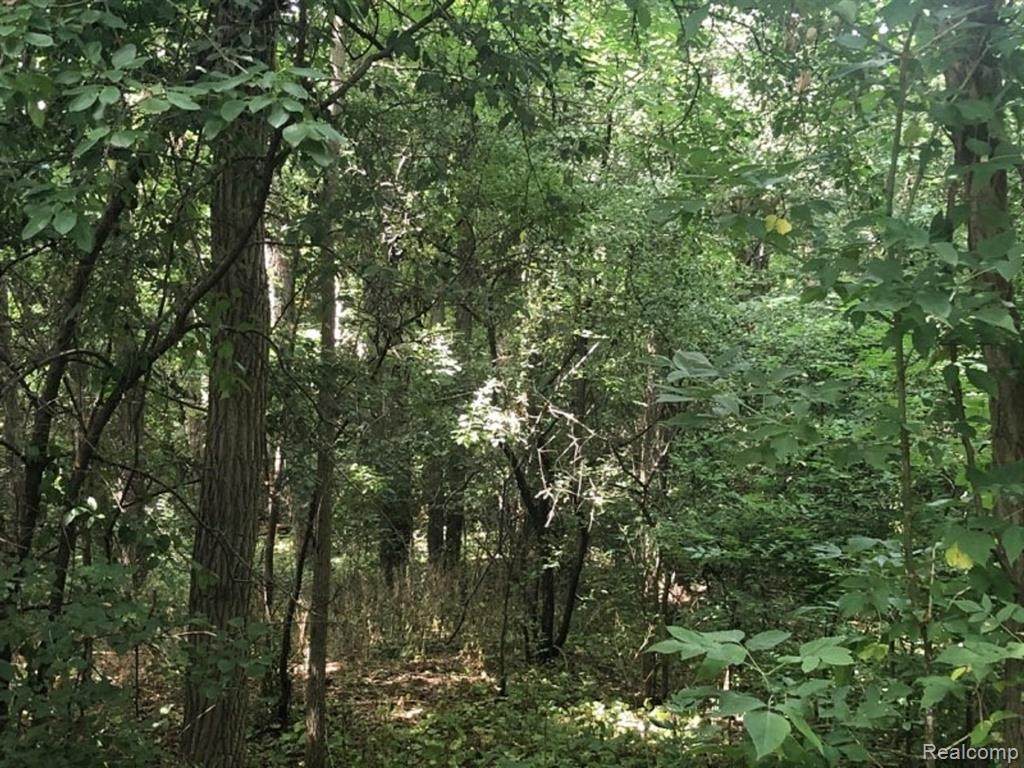 0 Ten Mile Rd - Photo 1