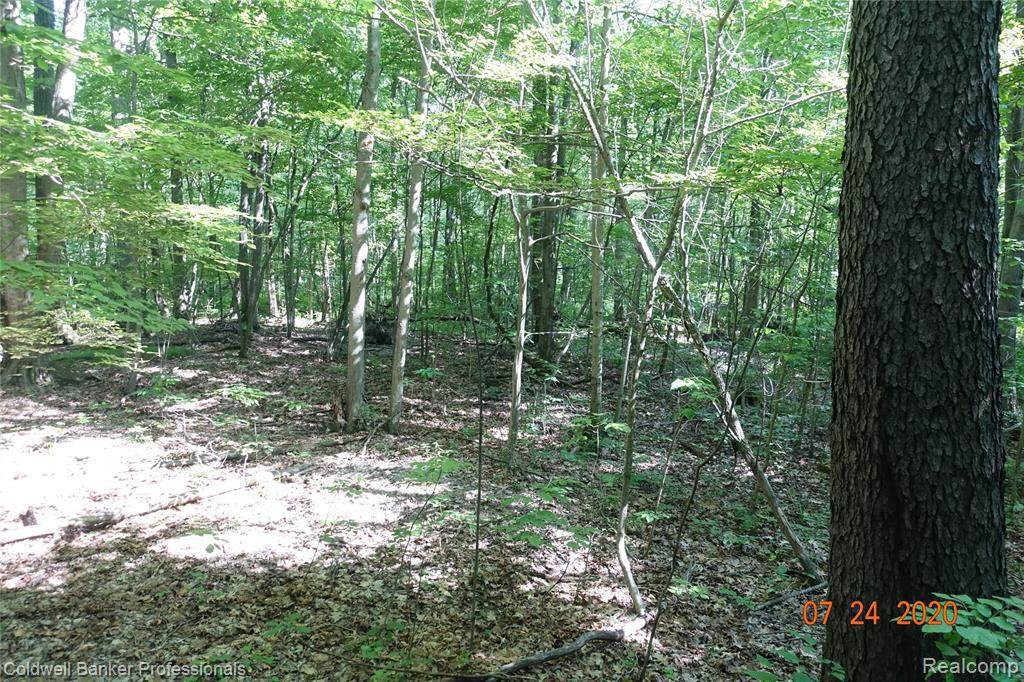0000 Dorn Crt - Photo 1