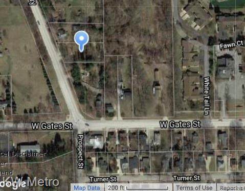 Lot A Van Dyke - Photo 1