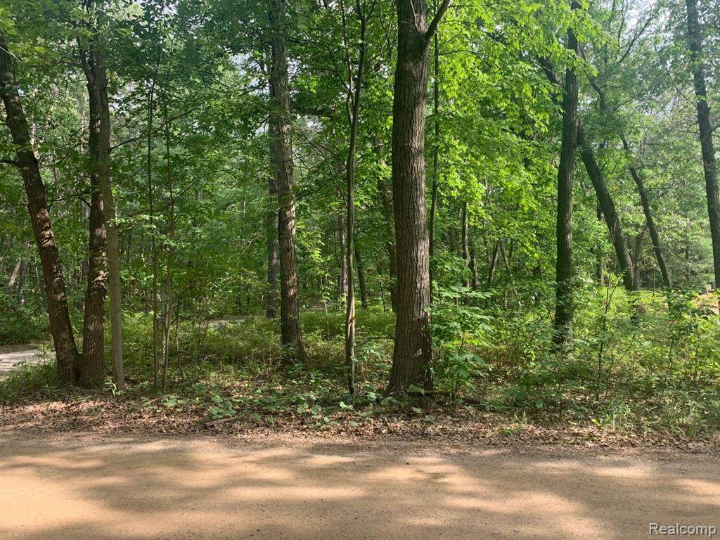 VL Sand Rd - Photo 1