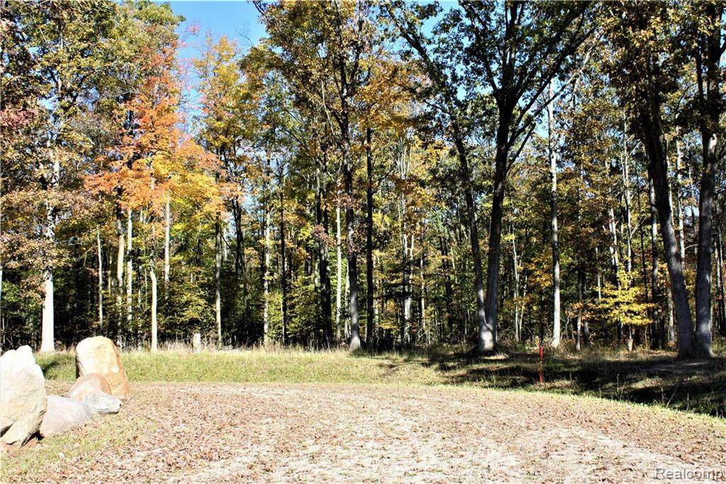 Parcel 8 Imlay City Rd - Photo 1