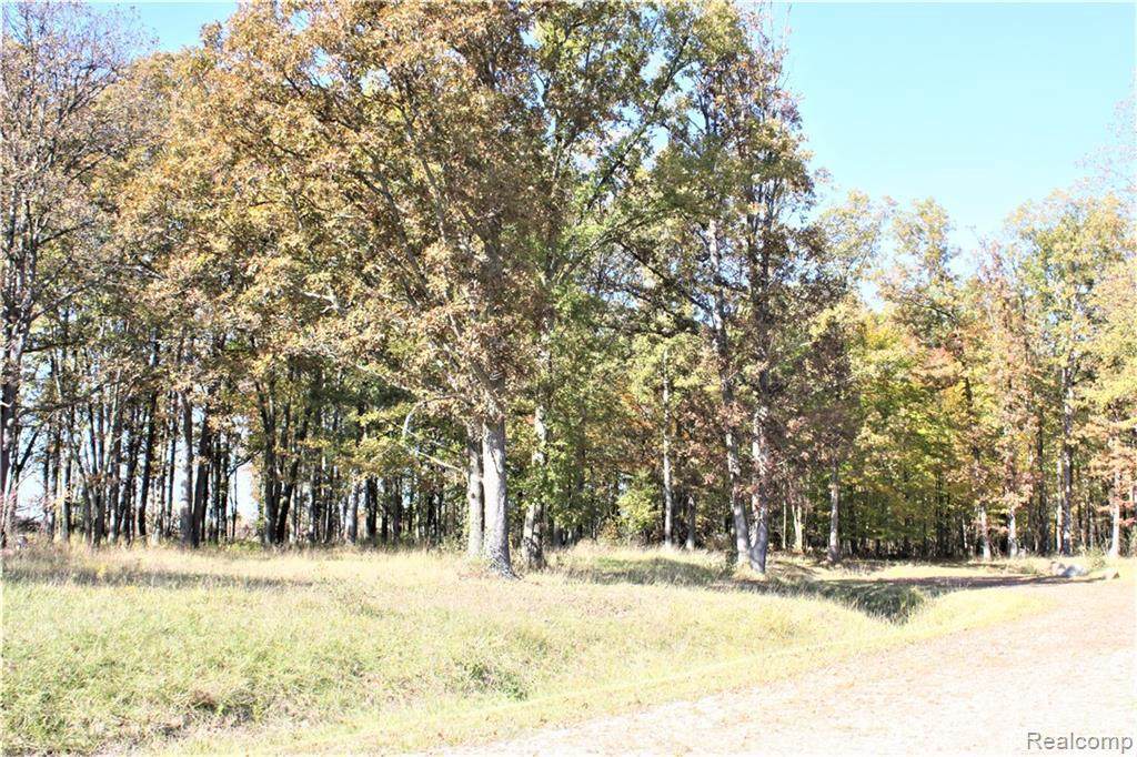 Parcel 7 Imlay City Rd - Photo 1