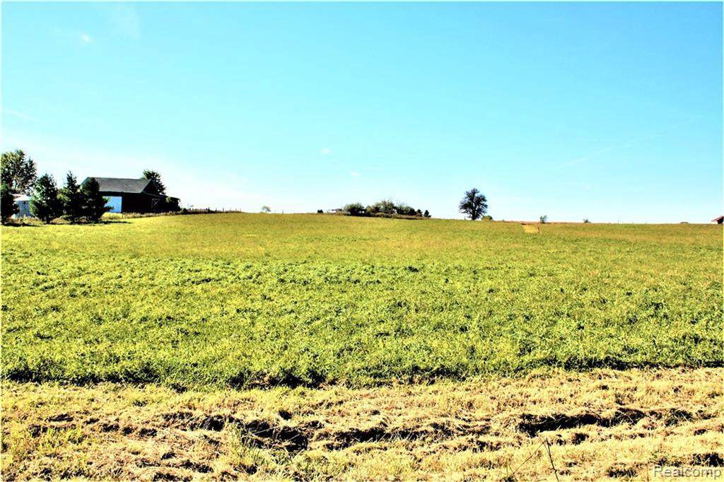Parcel 4 Imlay City Rd - Photo 1