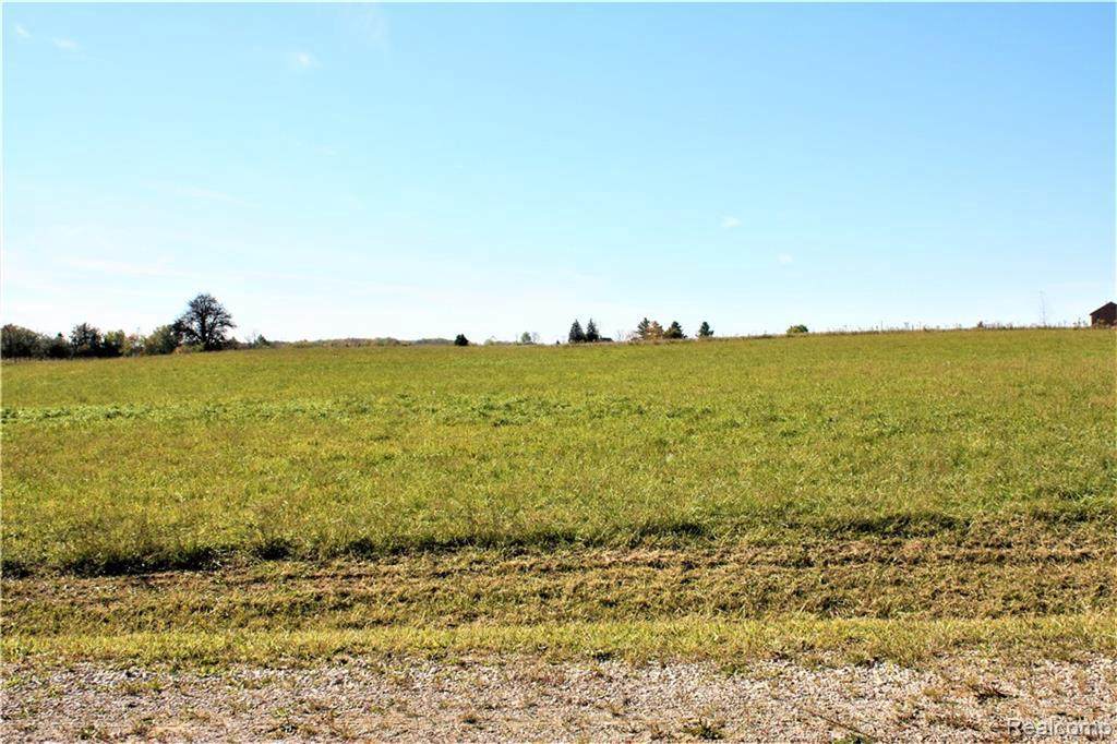 Parcel 3 Imlay City Rd - Photo 1