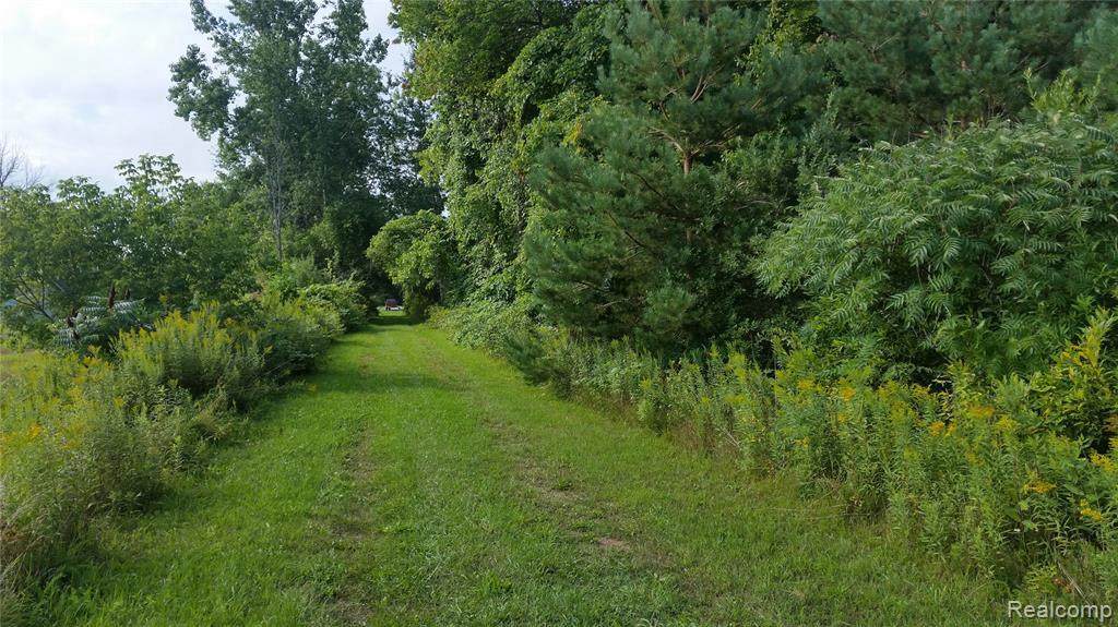 35459 Dodge Park Rd - Photo 1