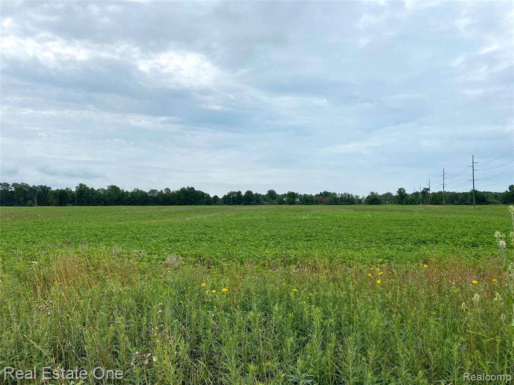 0000 Arnold Rd - Photo 1