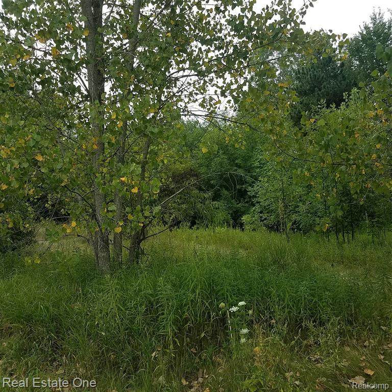 128 Fern Dr - Photo 1