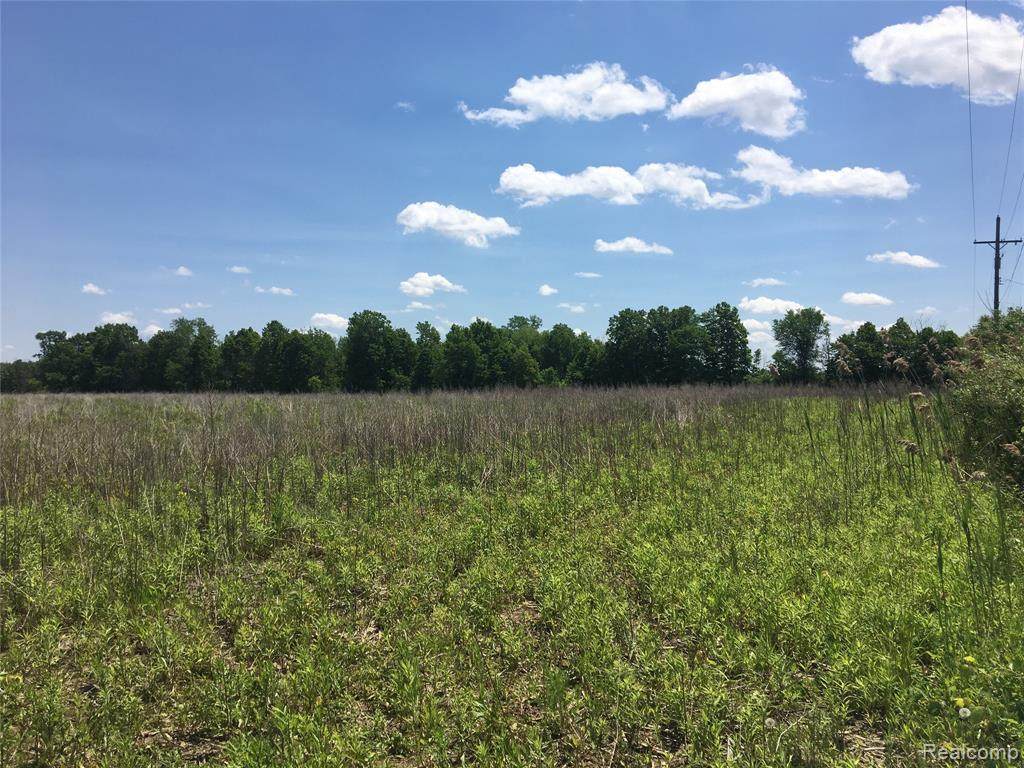 Parcel 2 Corneil - Photo 1