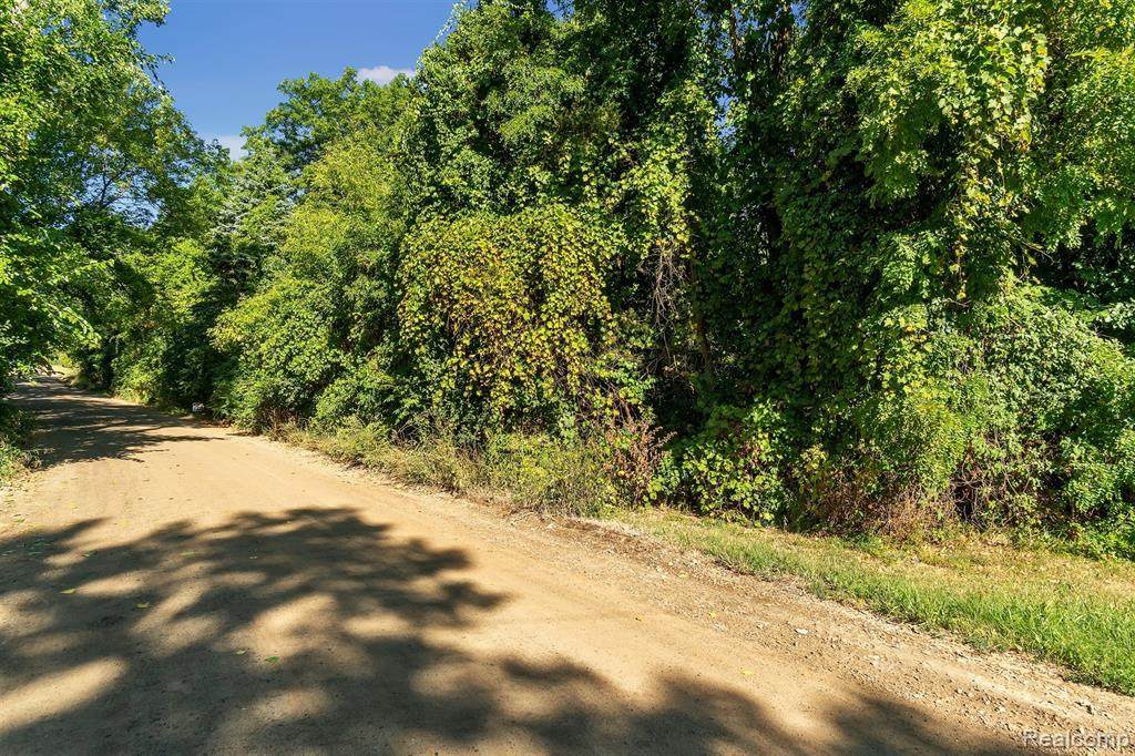 0000 Grass Lake Rd - Photo 1