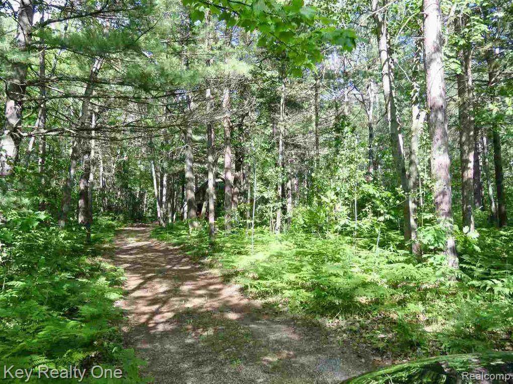 072-240-000-052 Wanuka Trail - Photo 1