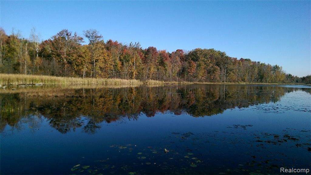 3131 Snoblin Road Rd - Photo 1