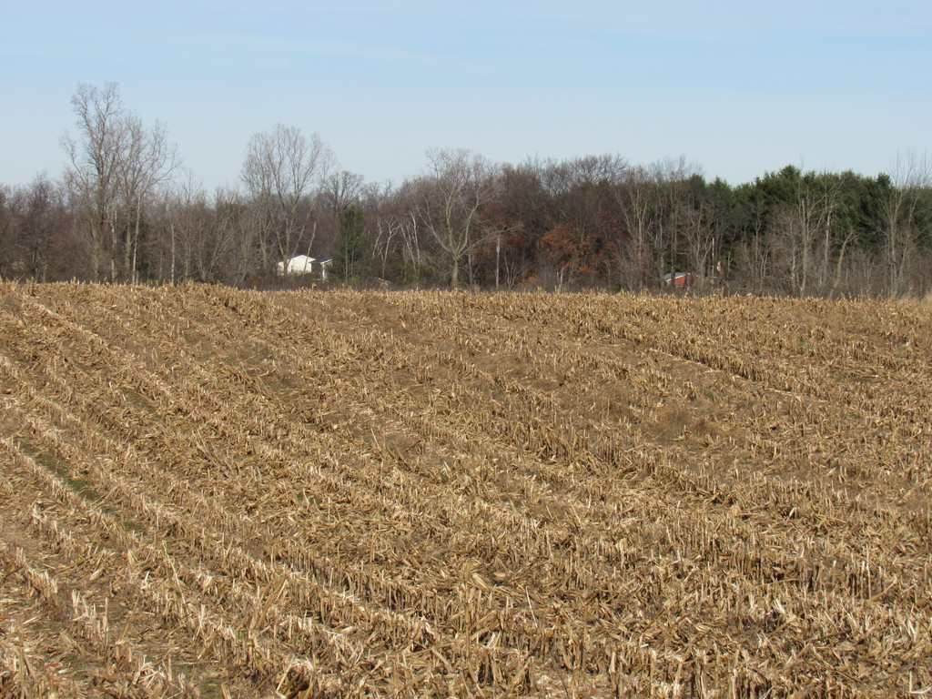 VL Rives Junction Rd - Photo 1