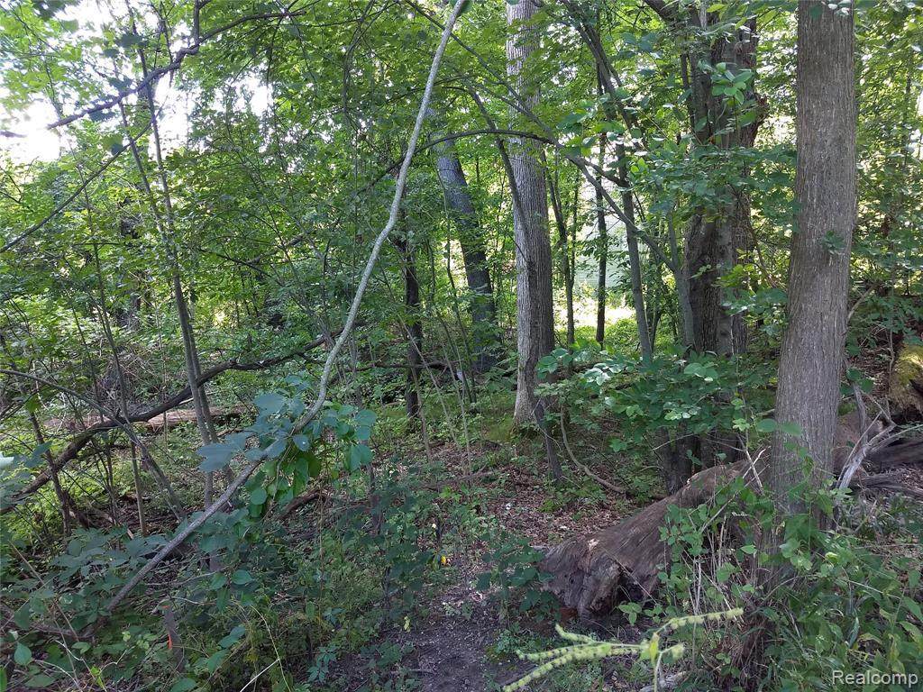 000 Beardslee Dr - Photo 1