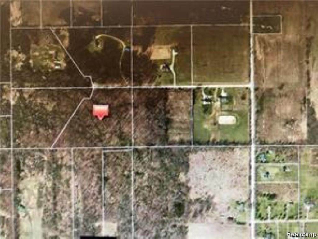 Vacant 10 White Tail Trail - Photo 1
