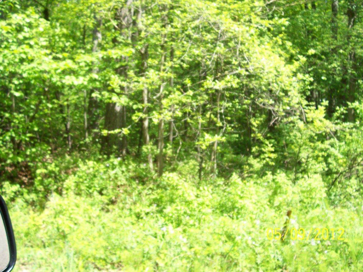 0 Secor - Photo 1