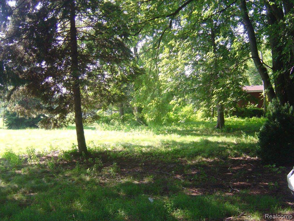 18452 Doty Ln - Photo 1