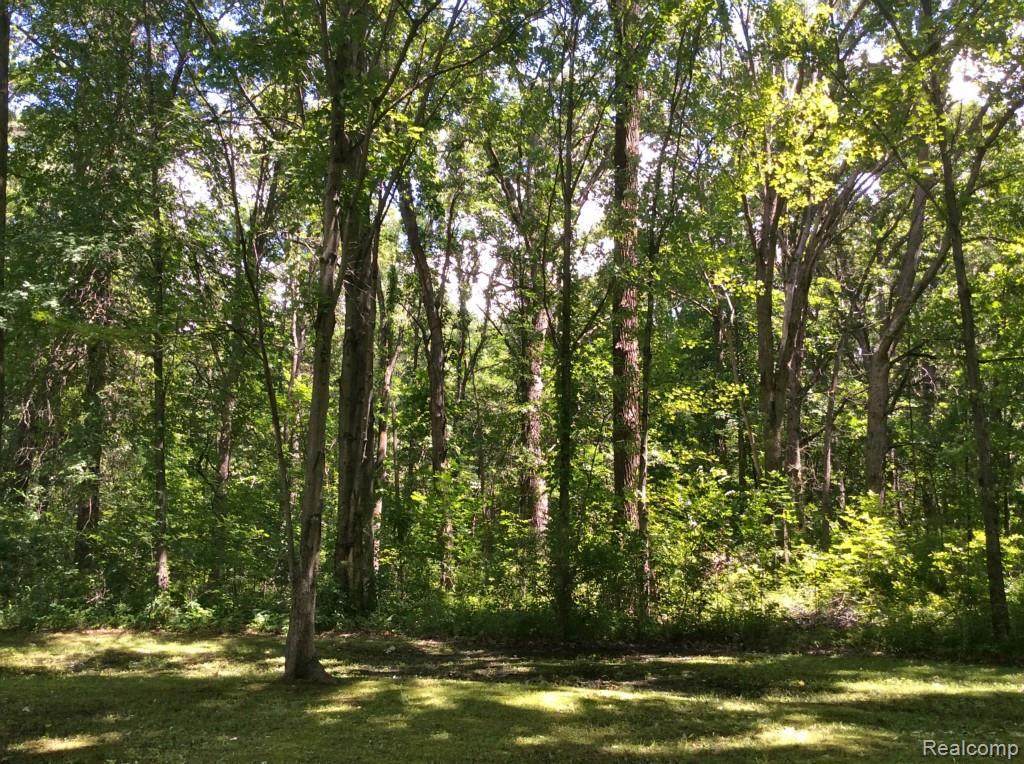 0 VACANT Bohn Rd - Photo 1