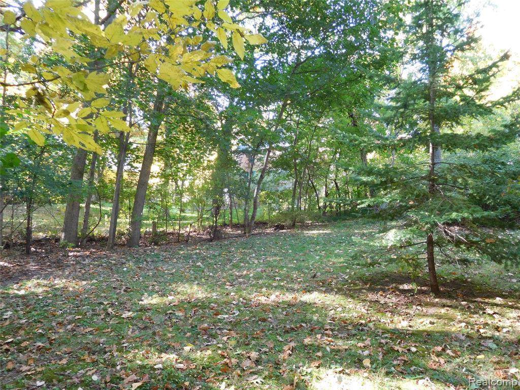 4761 Arline Dr - Photo 1