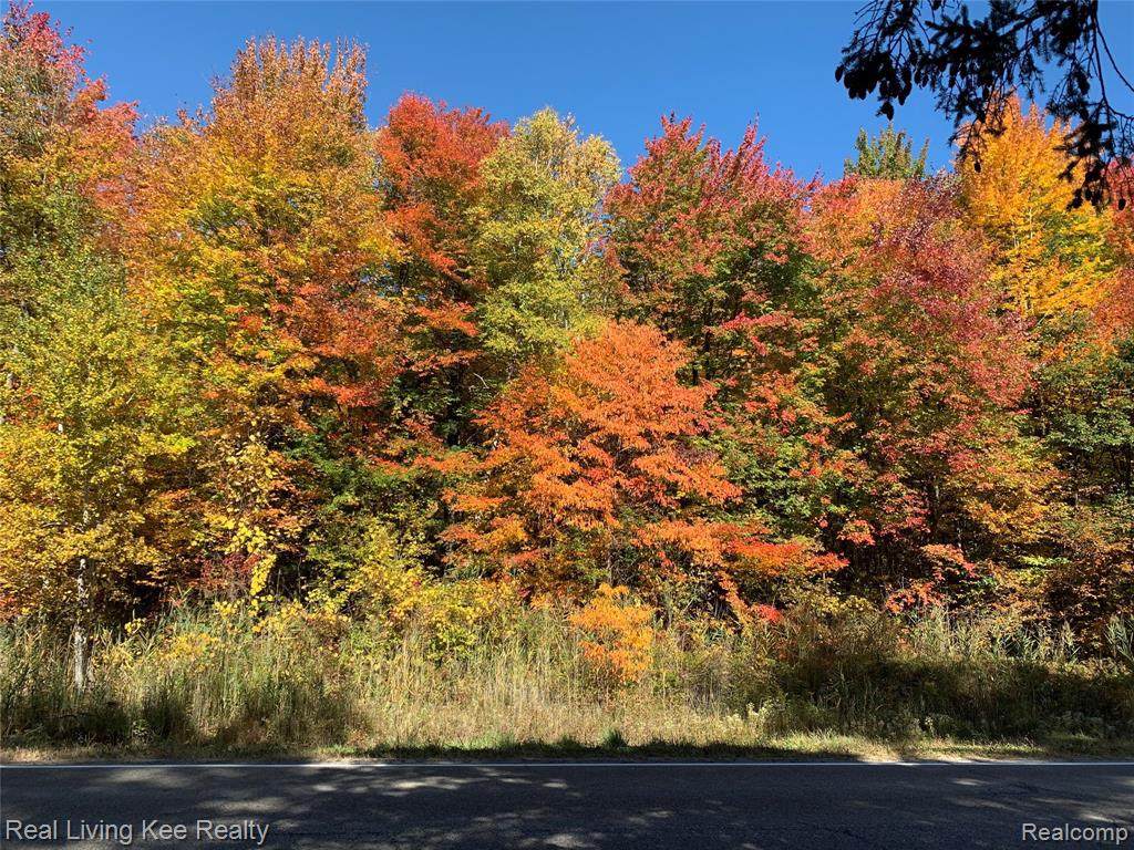 V/L Krafft Rd - Photo 1