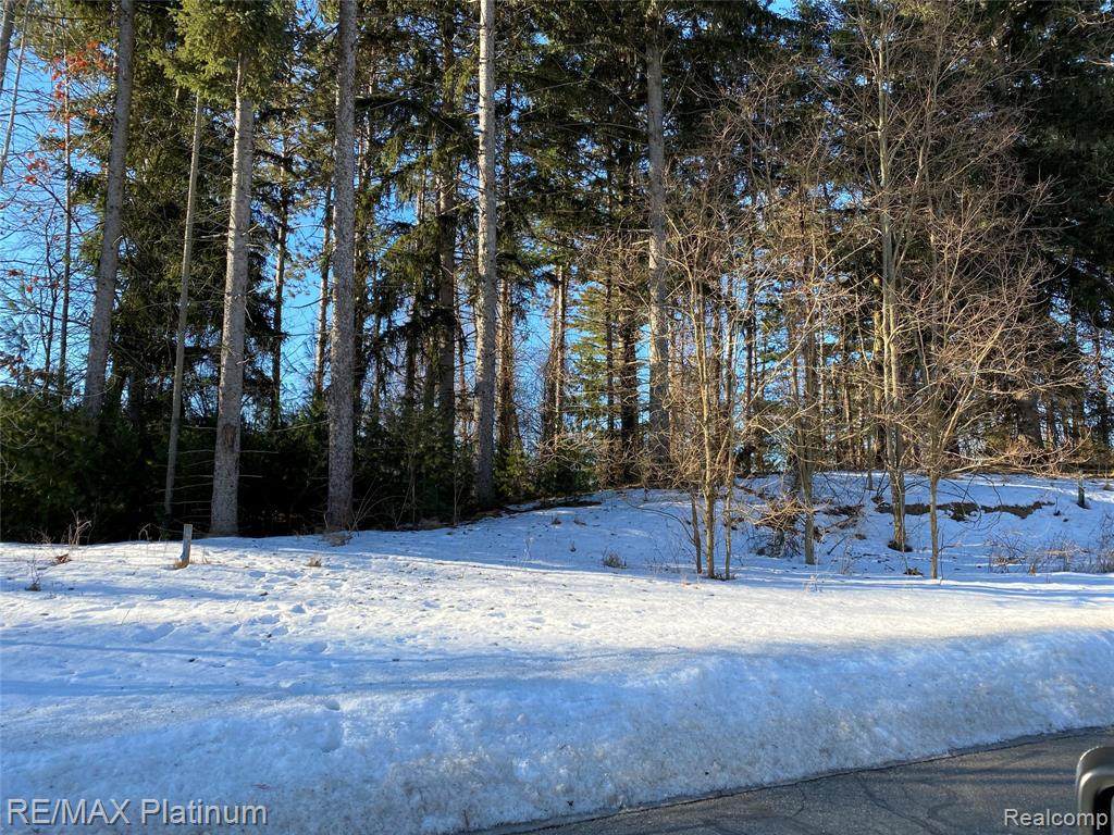 LOT 27 Pinemont Dr - Photo 1