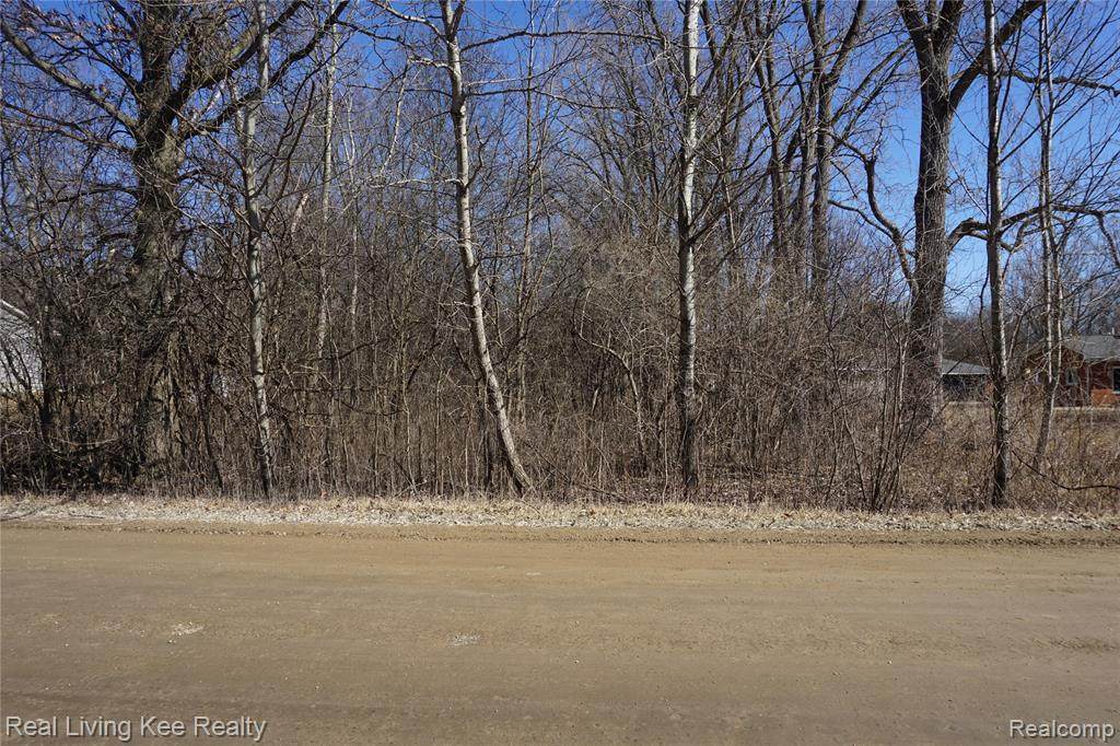 0 Martinsville Rd - Photo 1