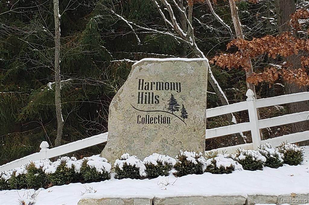 721 Harmony Hills Pkwy - Photo 1
