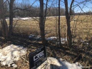 0 Cameron Rd - Photo 1
