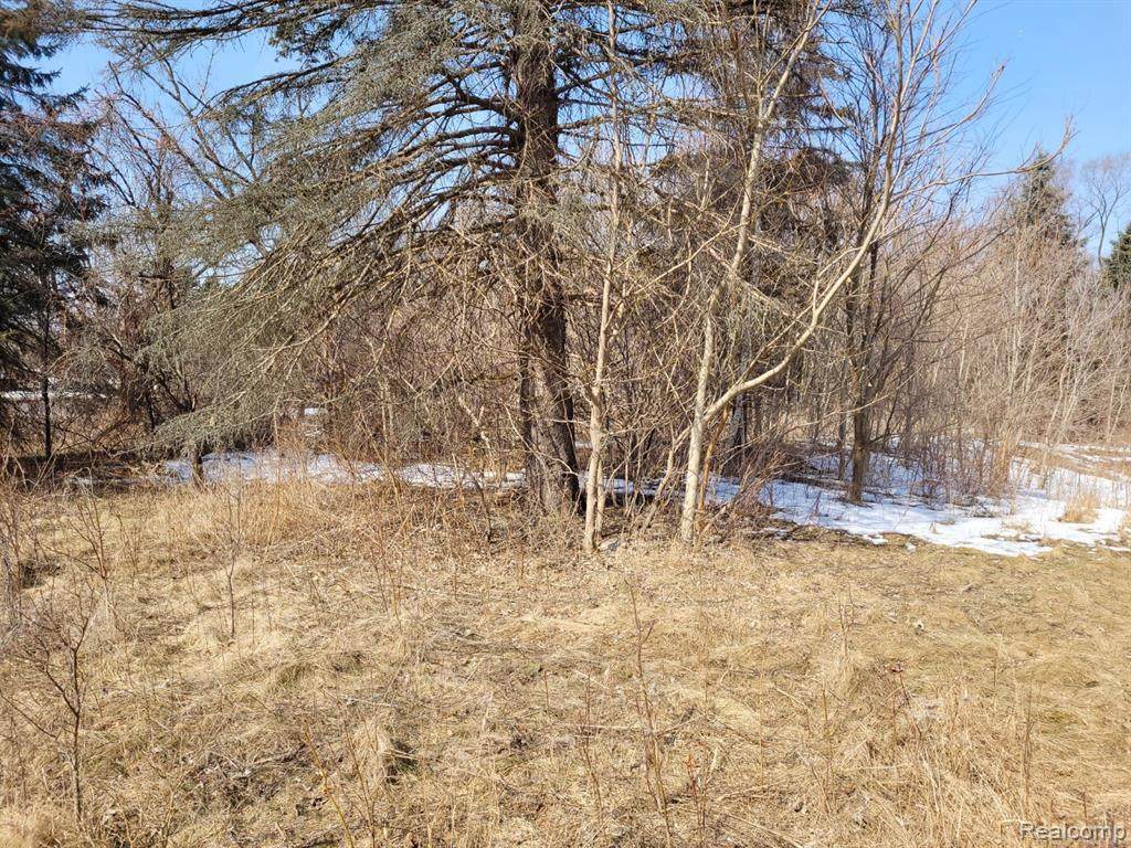 0000 Pontiac Lake - Photo 1