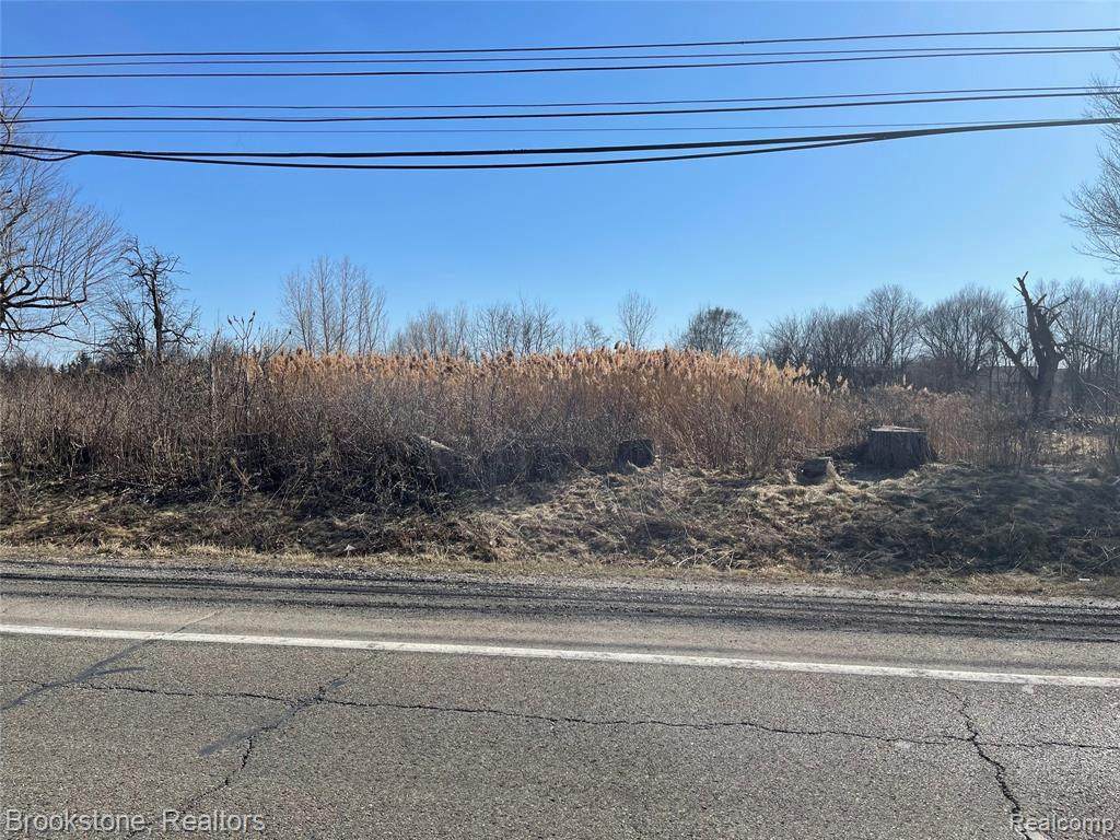 40875 Grand River Ave - Photo 1