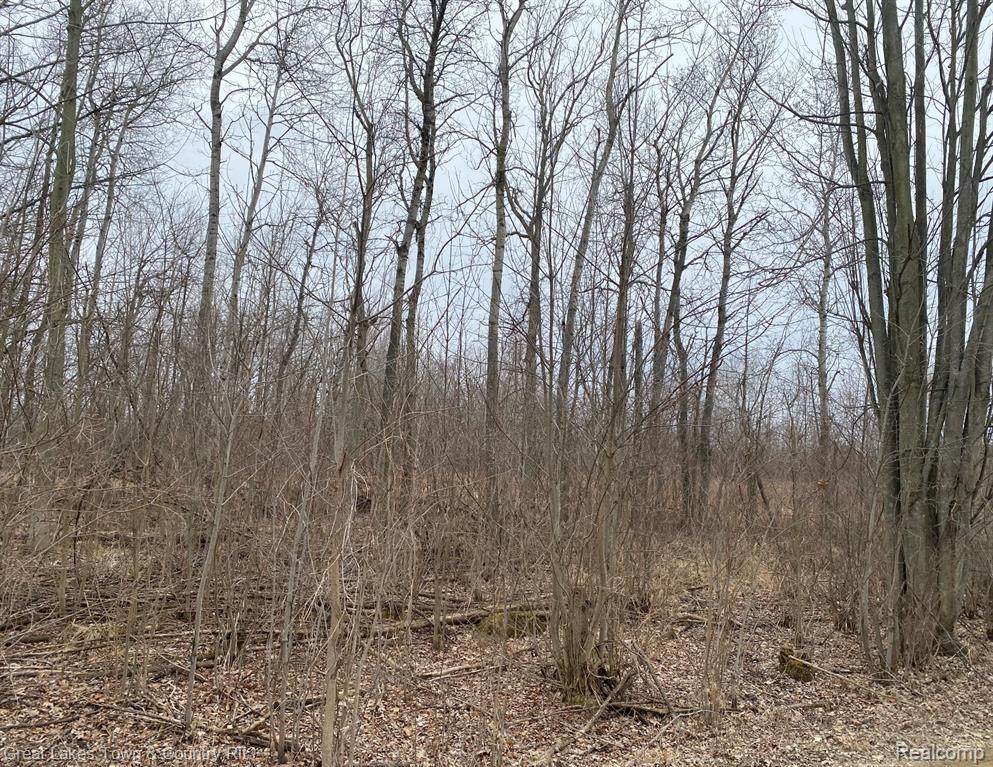 0000 Lakewood Ln - Photo 1