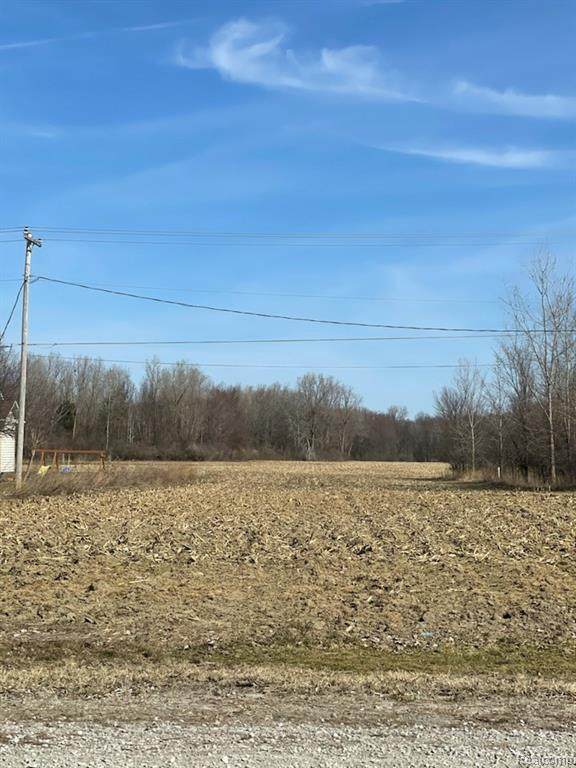 V/L Grand Blanc Rd - Photo 1
