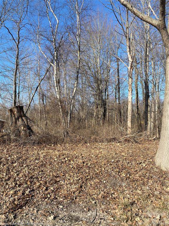 6231 Lakeshore Rd - Photo 1