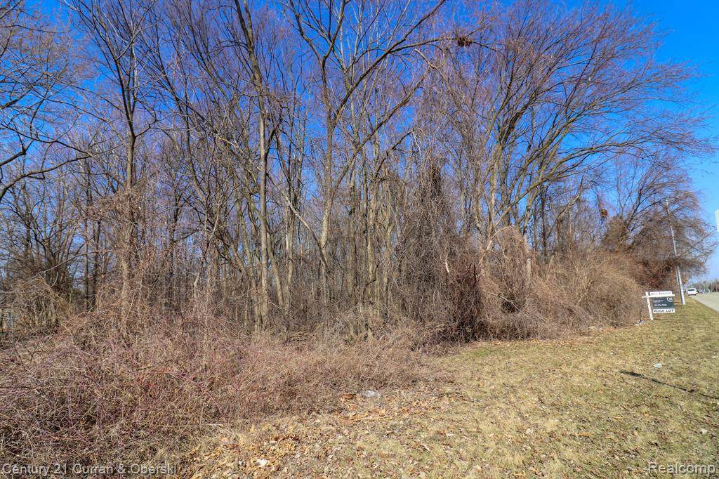 6013 Newburgh - Photo 1