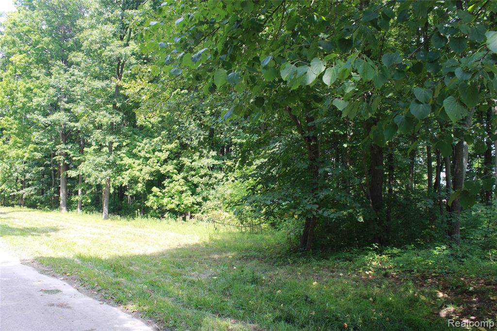 Lot B Bond Trail - Photo 1