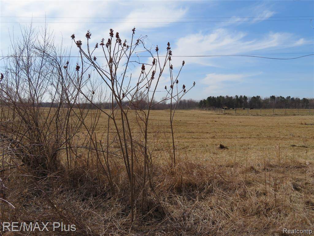 0000 Hollow Corners Rd - Photo 1