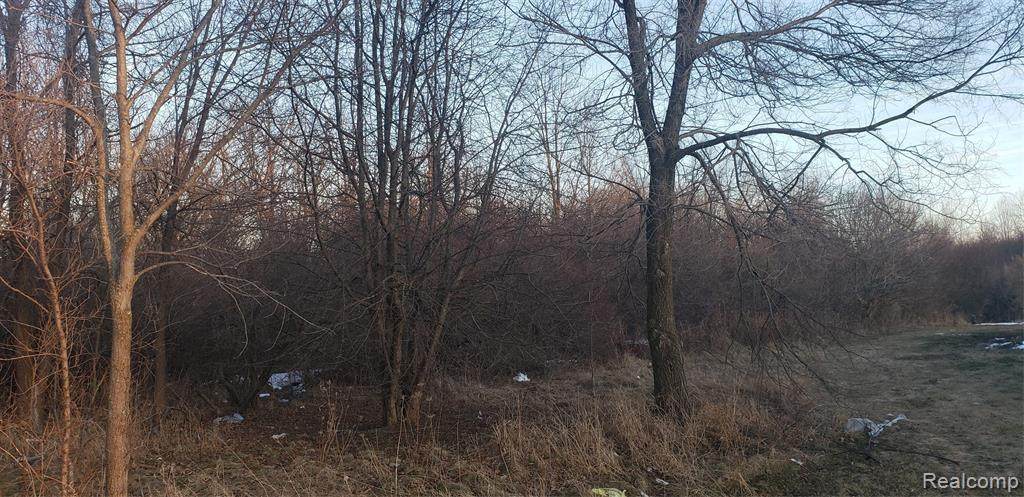 000 Coldwater Rd - Photo 1
