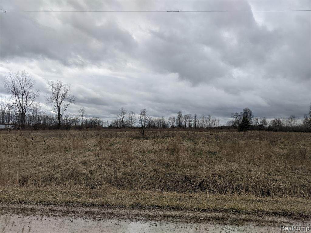 14305 Exeter Rd - Photo 1