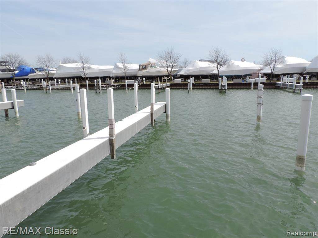 41700 Conger Bay Dr Lexington 84 - Photo 1