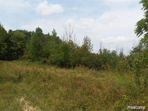 0 Ann Arbor Saline Road Rd N - Photo 1