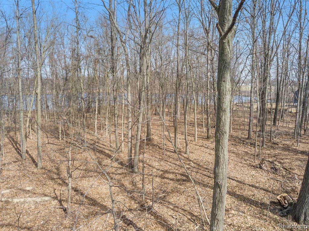 4651 Sweet Rd - Photo 1